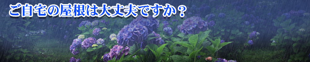 屋根無料点検実施中